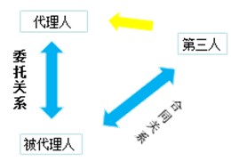 建設工程代理法律關系